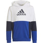 Adidas Colourblock Hoodie Jr HG6826 sweatshirt Clothing/Lifestyle Adidas