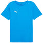 Puma teamRISE Matchday Jersey M 706132 02 Clothing/Football Puma