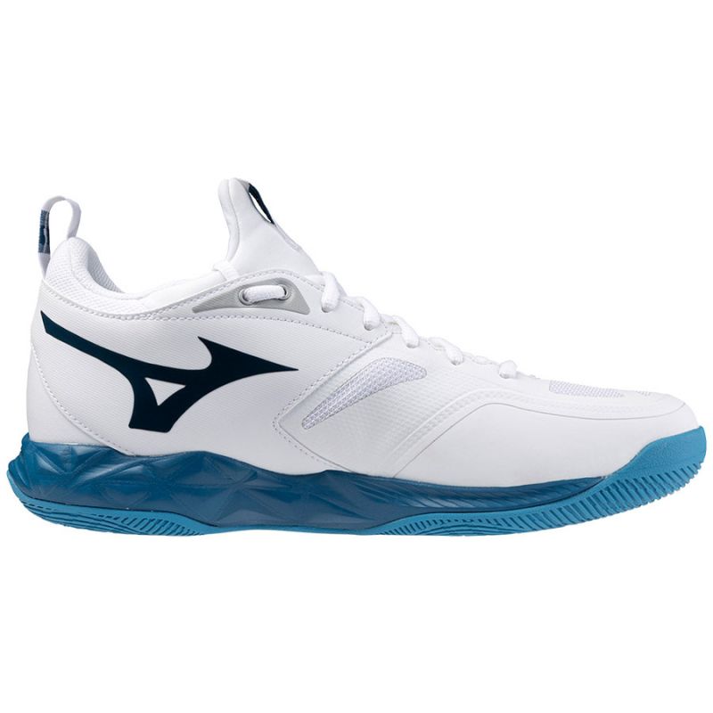 Mizuno WAVE LUMINOUS 3 M V1GA242021 shoes Footwear/Volleyball/Men Mizuno