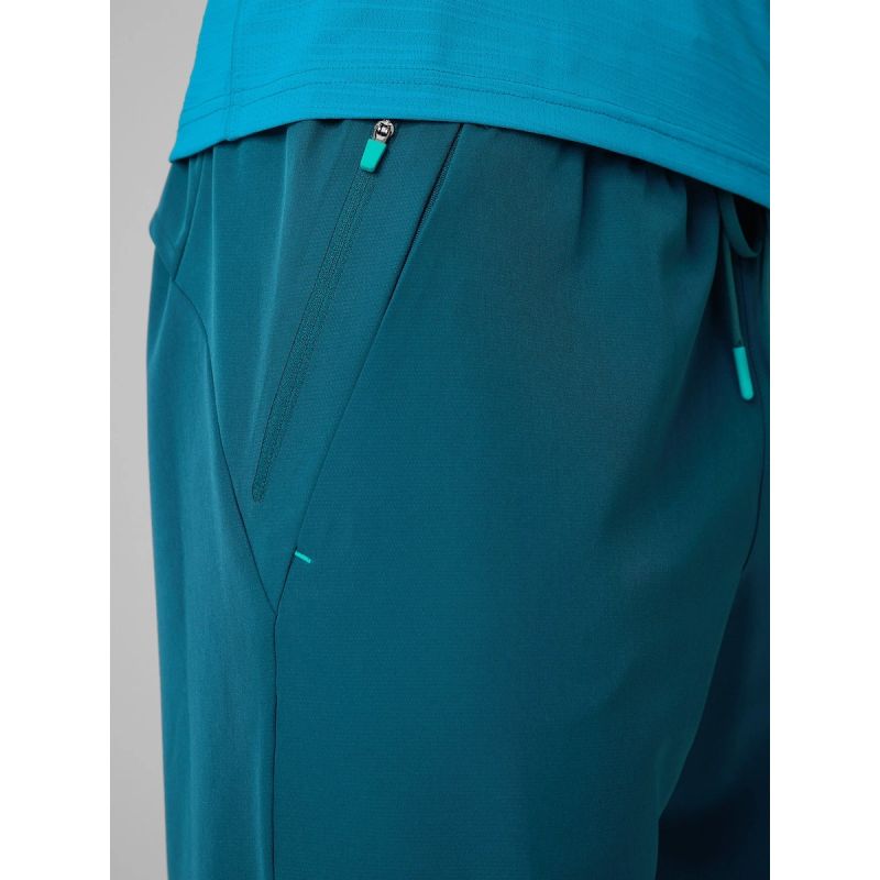 Men's quick-drying training pants 4F 4FRSS26TFTRM1411-30S