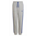 Adidas Trainings Jr HN6712 pants Clothing/Training Adidas