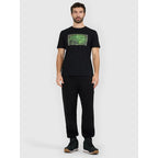 Men's regular printed T-shirt 4F 4FRAW25TTSHM3612-20S