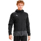Puma teamGOAL 23 Training M 656559 03 Clothing/Outdoor Puma