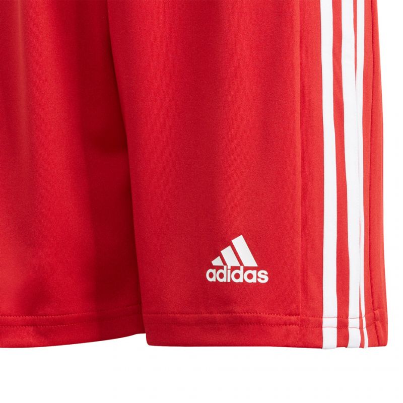 Adidas Squadra 21 Short Youth Jr GN5761 Clothing/Football Adidas