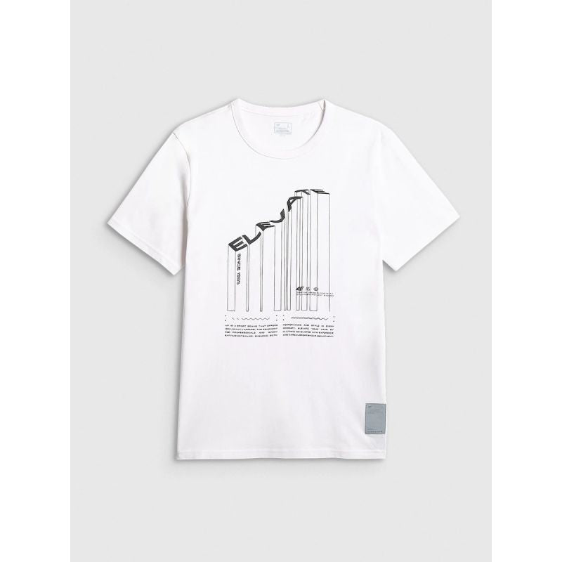Men's regular printed T-shirt 4F 4FRAW25TTSHM3845-10S 4f