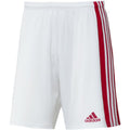 Shorts adidas Squadra 21 Jr GN5763 Clothing/Training Adidas