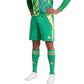 Adidas Tiro 24 M IT2414 shorts Clothing/Football Adidas