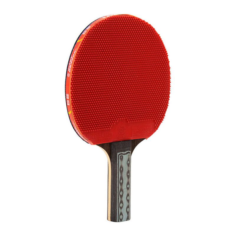 Giant Dragon 9★ N8092 Table Tennis Racket Accessories/Rackets and accessories Your Sports Performance