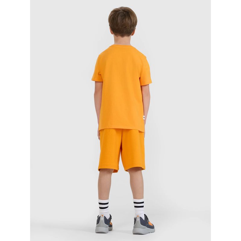 Boy's regular printed T-shirt 4F 4FJRSS25TTSHM2642-70S *Kategoria tymczasowa Your Sports Performance