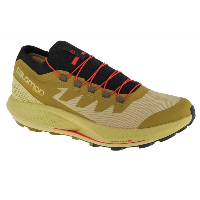 Shoes Salomon Pulsar Trail-Pro M 415936 Footwear/Outdoor Your Sports Performance