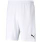 Puma teamRISE Short M 704942 03 Clothing/Running Puma