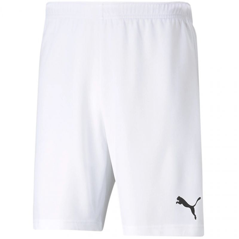 Puma teamRISE Short M 704942 03 Clothing/Running Puma