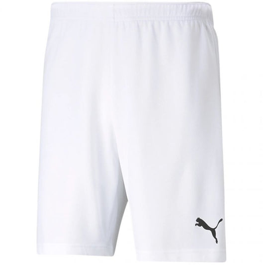 Puma teamRISE Short M 704942 03 Clothing/Running Puma