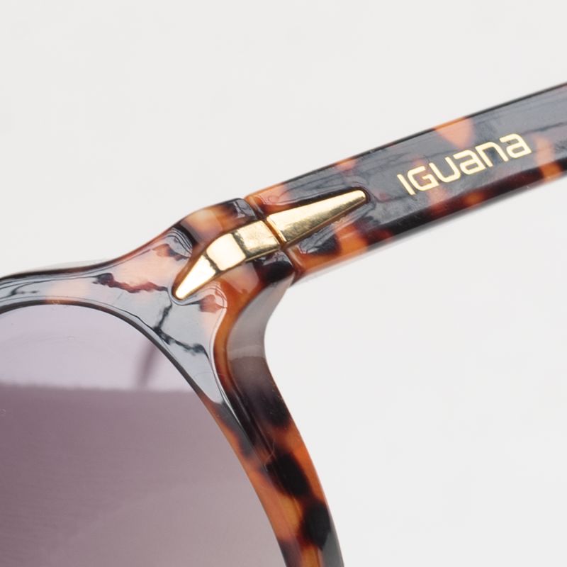 ILZE glasses In preparation Your Sports Performance