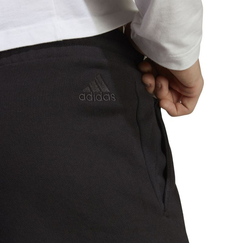 Adidas Essentials Big Logo French Terry M IC9401 shorts Clothing/Lifestyle/Trousers, shorts Adidas