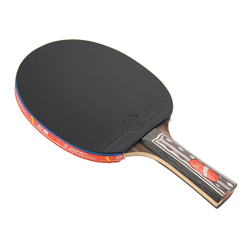 Giant Dragon 9★ N8091 Table Tennis Racket Accessories/Rackets and accessories Your Sports Performance