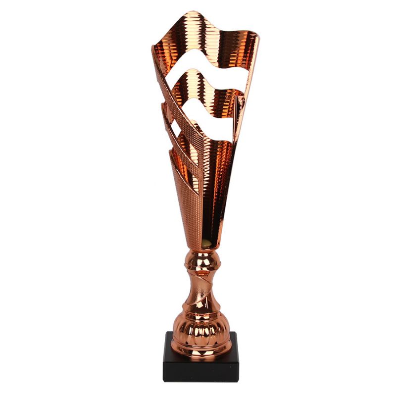 Triumph Cup In preparation Your Sports Performance