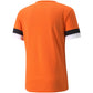 Puma teamRise Jersey M 704932 08 Clothing/Training Puma