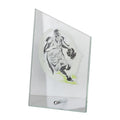 Triumph glass trophy In preparation Your Sports Performance