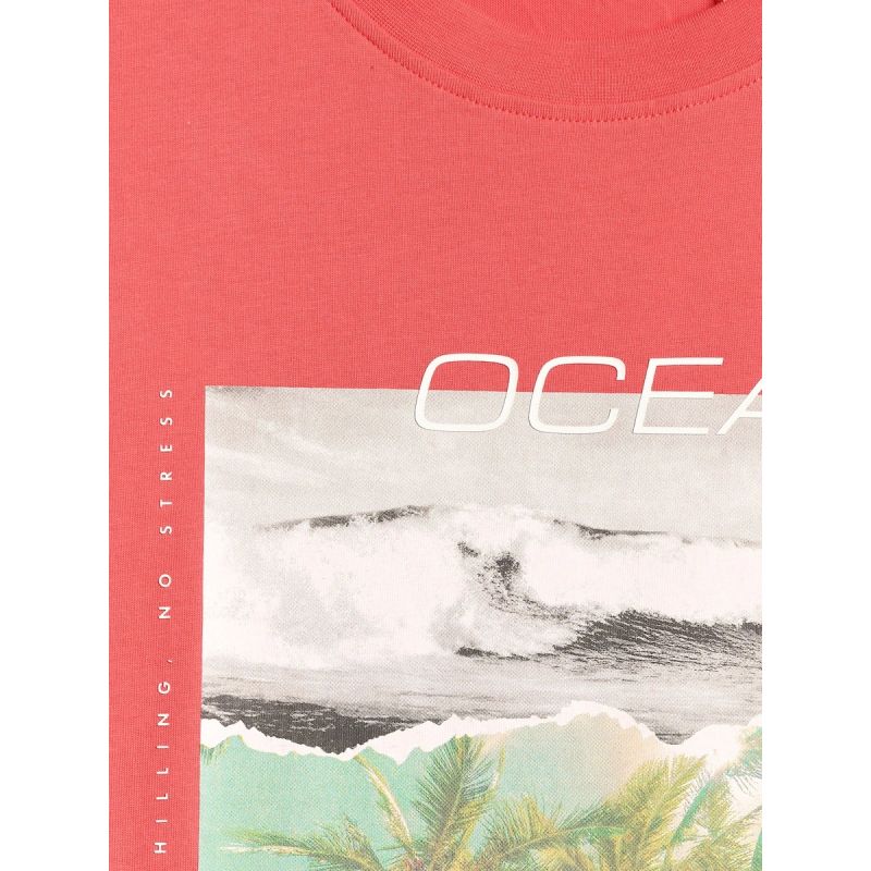 Men's regular printed T-shirt 4F 4FRSS26TTSHM4304-63S 4f