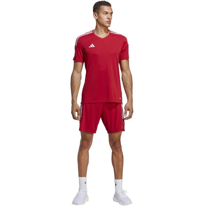 Shorts adidas Tiro 23 League M IB8082 Clothing/Football Adidas