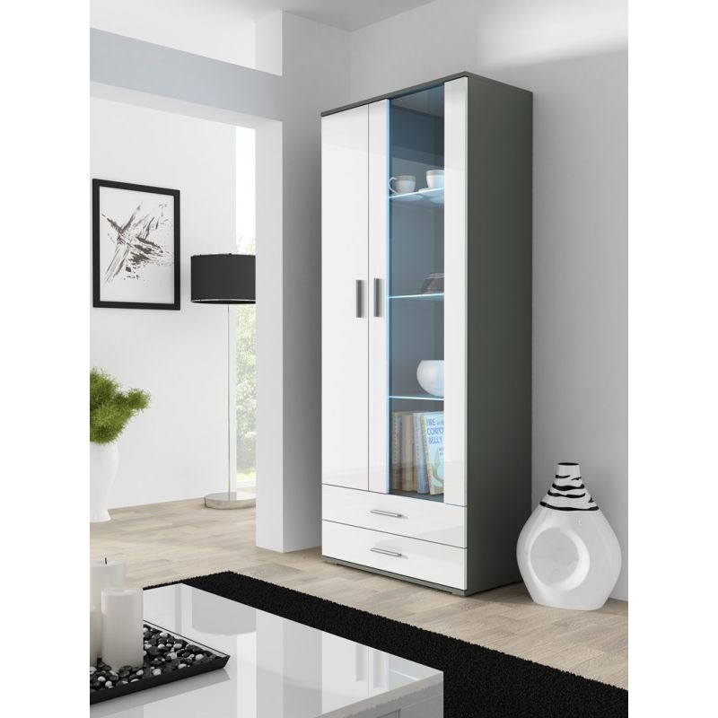 SOHO S6 2D2S display cabinet, grey/white gloss Bufety i witryny/Bufety i witryny na drewnianej podstawie Your Sports Performance