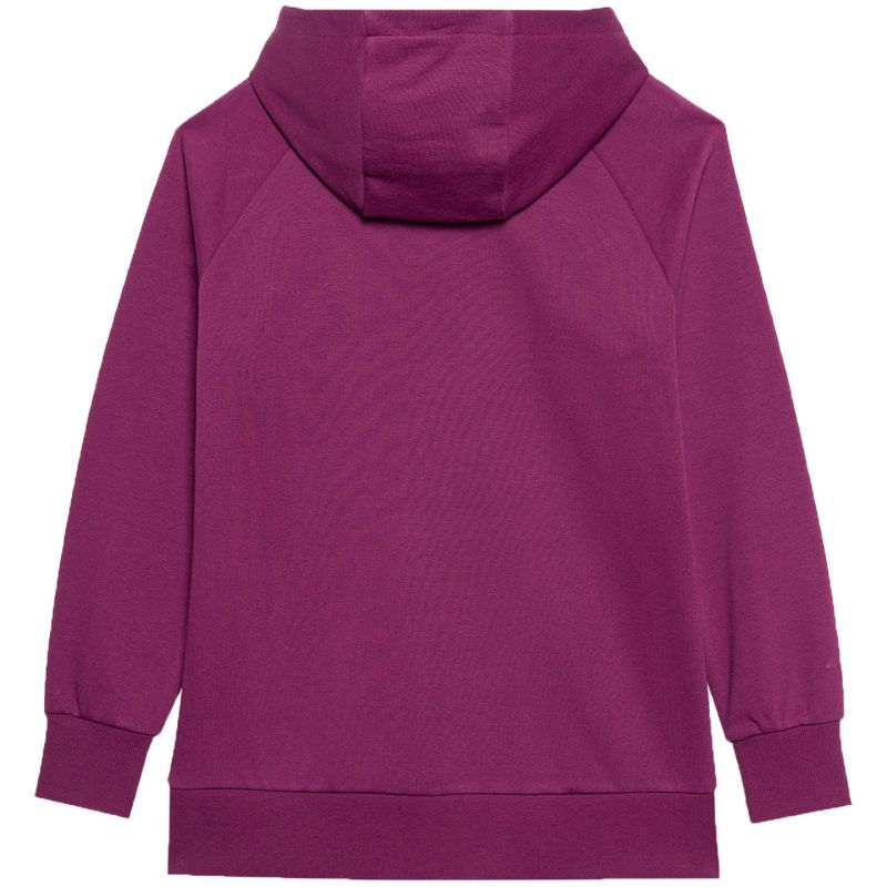 Sweatshirt 4F F0955 W 4FWSS24TSWSF0955 51S Clothing/Lifestyle/4F 4F