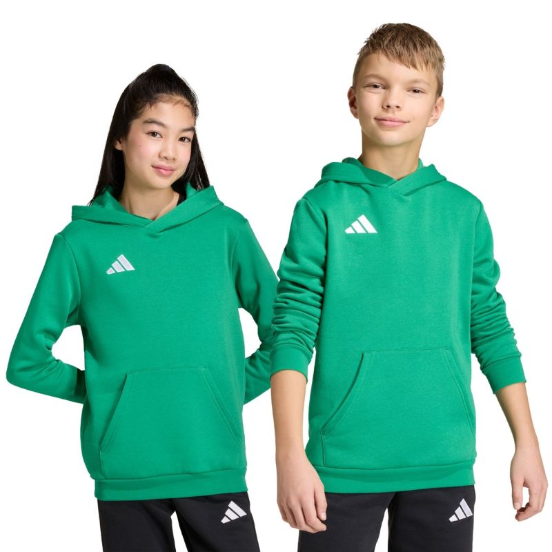 Adidas Entrada 26 Hoody green JZ6563 kids' sweatshirt To be categorized Your Sports Performance