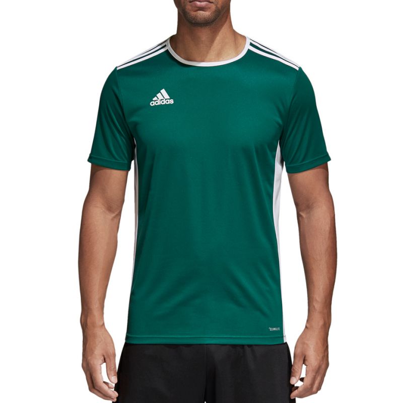 T-shirt adidas Entrada 18 Jr. CD8358 Clothing/Football Adidas