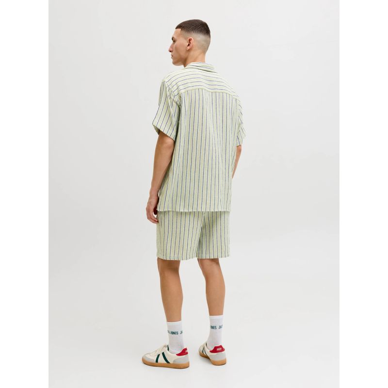 Jack&Jones men's striped shorts JPSTJAIDEN COBA STRIPE JOG SHORTS REG SN 12274413 TEA/STRIPES Jack&Jones