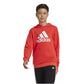 Adidas Big Logo Hoodie Jr IX9531 sweatshirt Clothing/Lifestyle Adidas