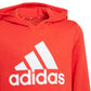 Adidas Essentials Big Logo Hoodie Jr GN4037 Clothing/Lifestyle Adidas