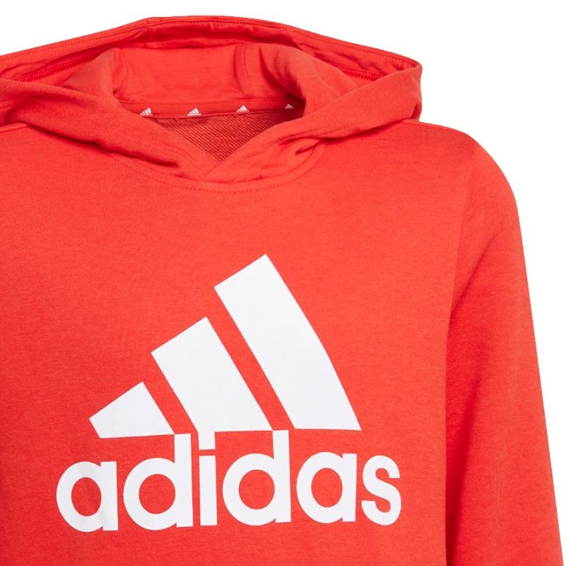 Adidas Essentials Big Logo Hoodie Jr GN4037 Clothing/Lifestyle Adidas