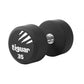 Dumbbell tiguar PU 35 kg TI-WHPU0350 Accessories/Training equipment Your Sports Performance