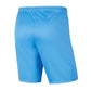 Nike Park III Knit Jr BV6865-412 Shorts Nike