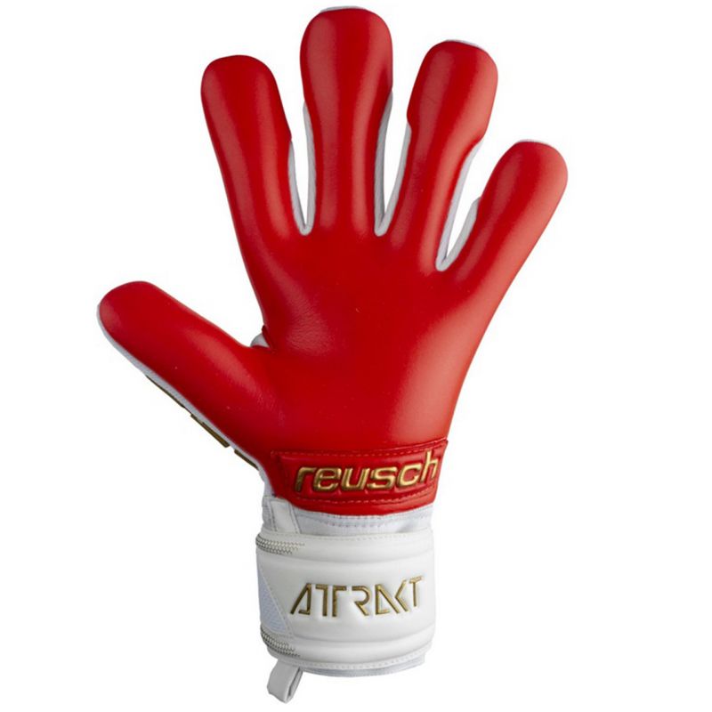 Reusch Attrakt Freegel Silver M 5370235 1011 goalkeeper gloves Accessories/Gloves Your Sports Performance