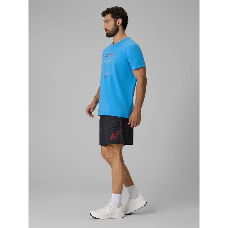 Men's regular printed T-shirt 4F 4FRSS26TTSHM4039-33S