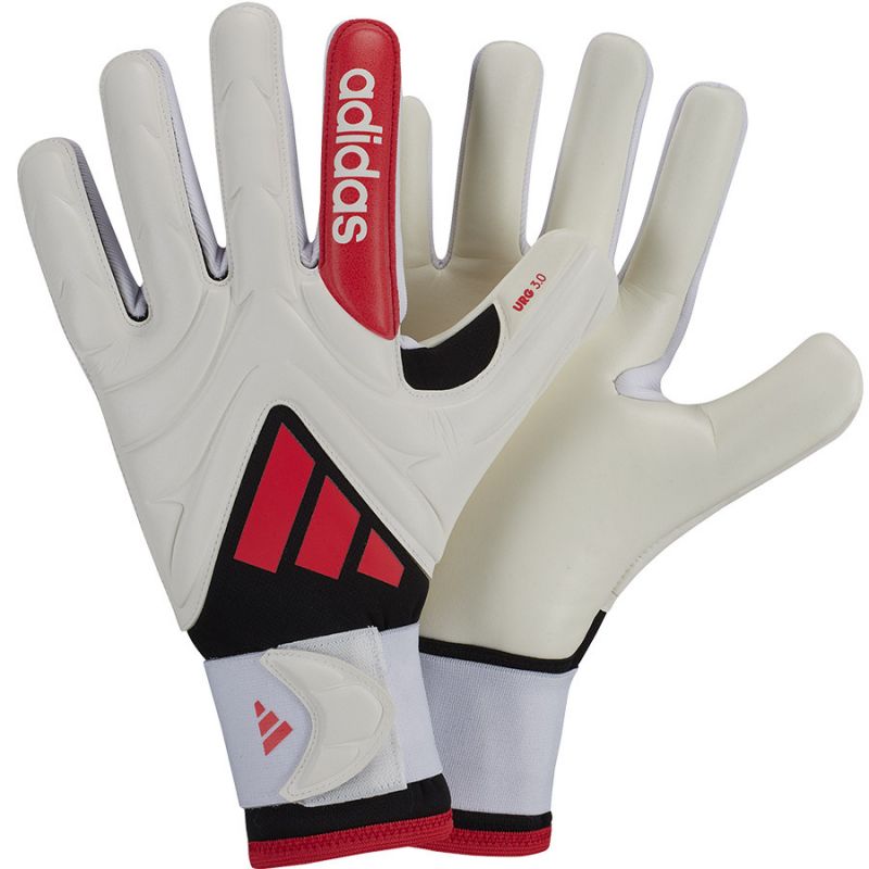 adidas Copa GL LGE M JH3793 goalkeeper gloves Accessories/Gloves Adidas