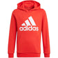 Adidas Essentials Big Logo Hoodie Jr GN4037 Clothing/Lifestyle Adidas