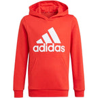 Adidas Essentials Big Logo Hoodie Jr GN4037 Clothing/Lifestyle Adidas