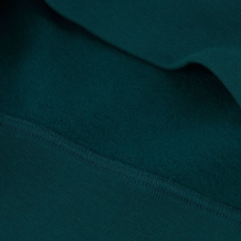 Champion Hooded M 220253 GS502 sweatshirt Clothing/Lifestyle/Champion Your Sports Performance