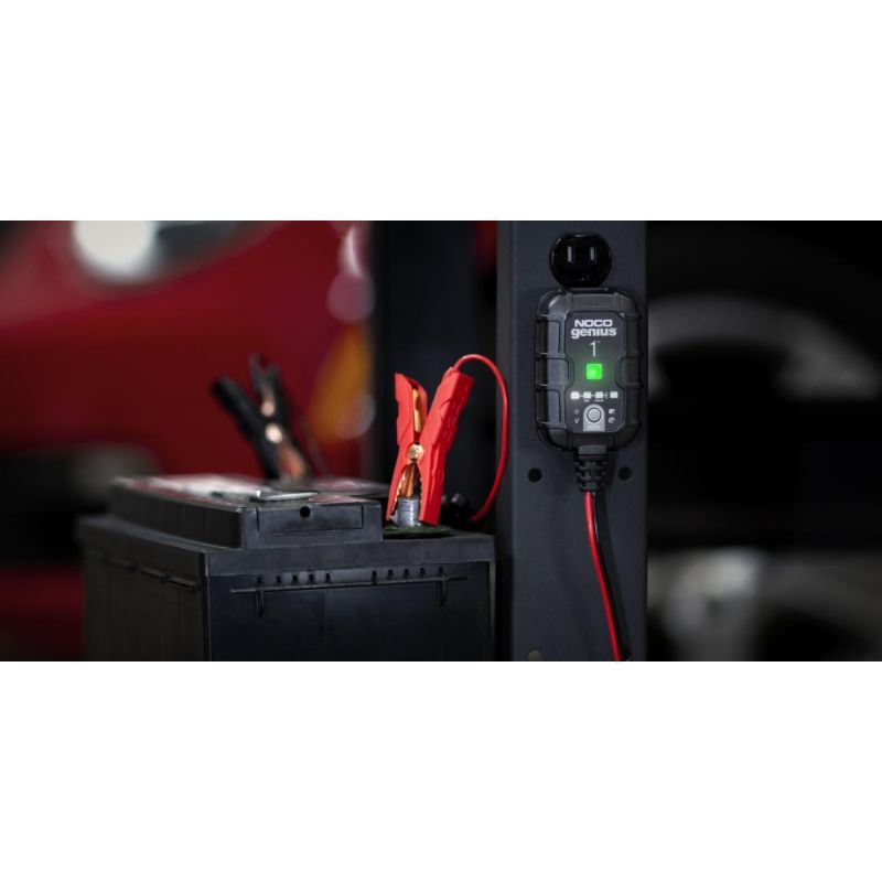 GENIUS1EU 1A Battery Charger Elektryka samochodowa/Prostowniki Your Sports Performance