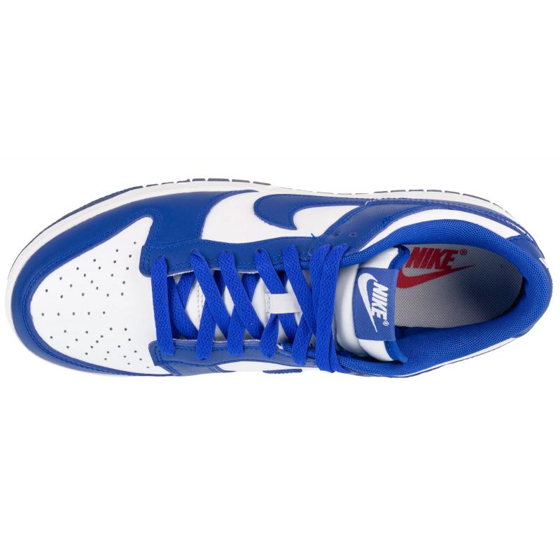 Nike Dunk Low Retro M DV0833-103 shoes Footwear/Lifestyle/Nike Nike