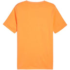 Puma Essential M T-shirt 847382 58 Clothing/Lifestyle/T-shirts Puma