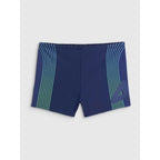 Men's swimming trunks 4F 4FRSS26USWTM084-31S