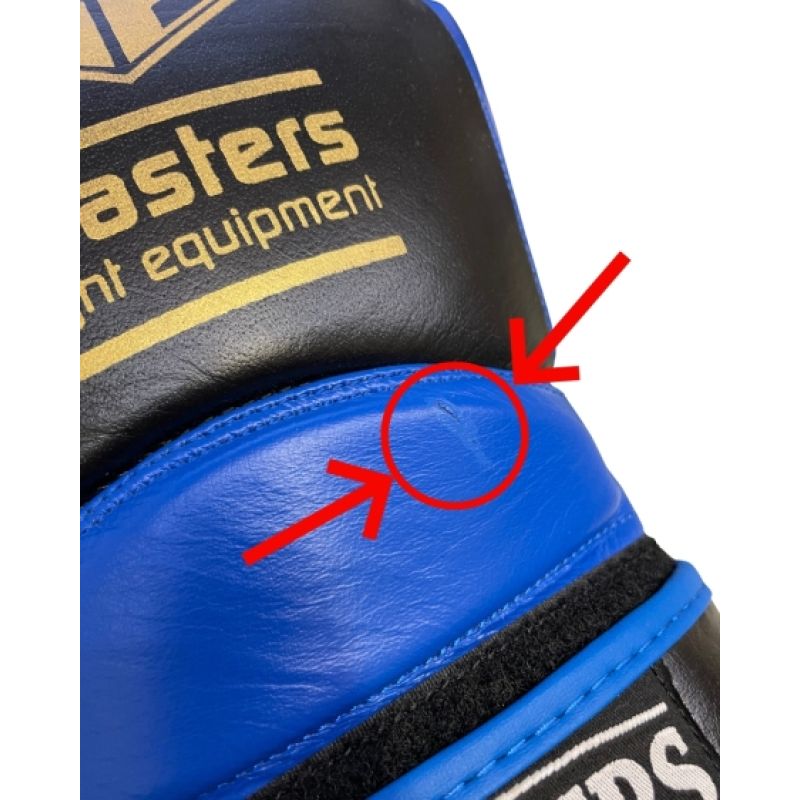 RBT-PRO-TRAIN Boxing Gloves 12 oz MASTERS FIGHT EQUIPMENT