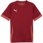 Puma teamGoal Matchday Jersey men's burgundy 705747 09 In preparation Your Sports Performance
