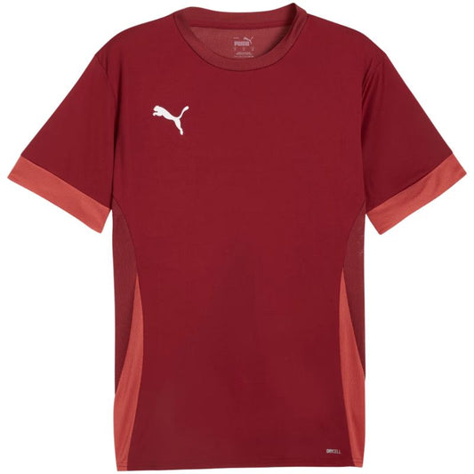 Puma teamGoal Matchday Jersey men's burgundy 705747 09 In preparation Your Sports Performance