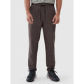 Men's quick-drying training pants 4F 4FWSS25TFTRM0781-81S *Kategoria tymczasowa Your Sports Performance