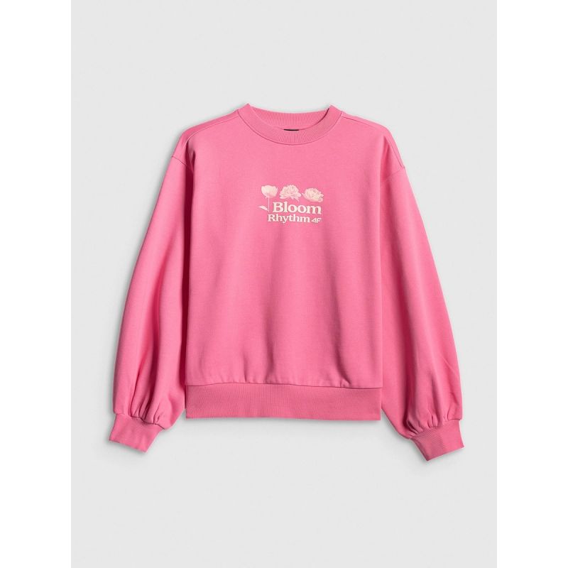 Women's loose sweatshirt without hood 4F 4FRSS26TSWSF2832-54S 4f